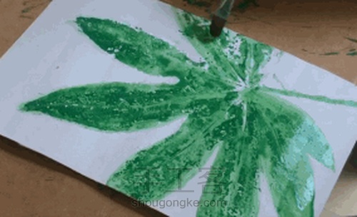 【植物系】— 植物相框 第11步