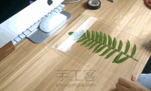 【植物系】— 植物相框 第5步