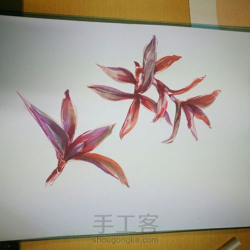 用马克笔随性的画一朵花 第9步