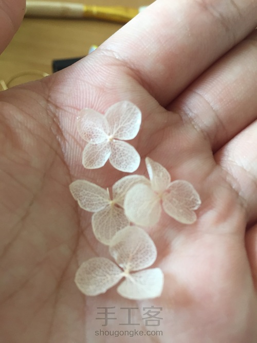 超简单日系永生花饰品 夏天的味道 第7步