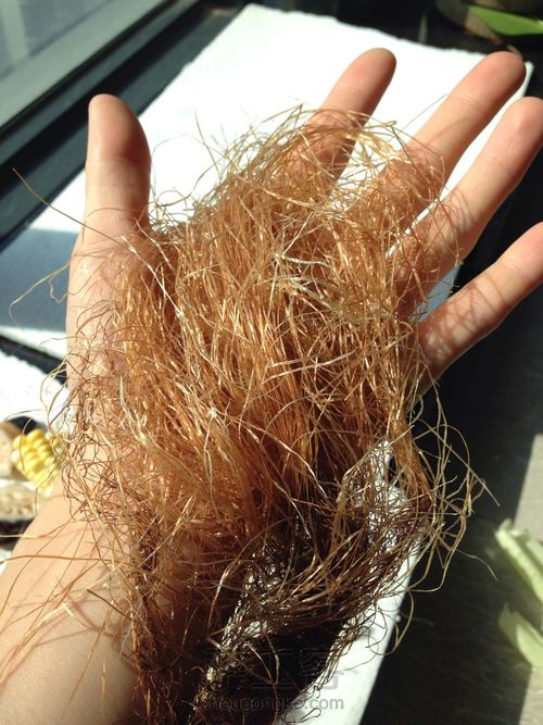 连藕干片，玉米须，小配件 第3步