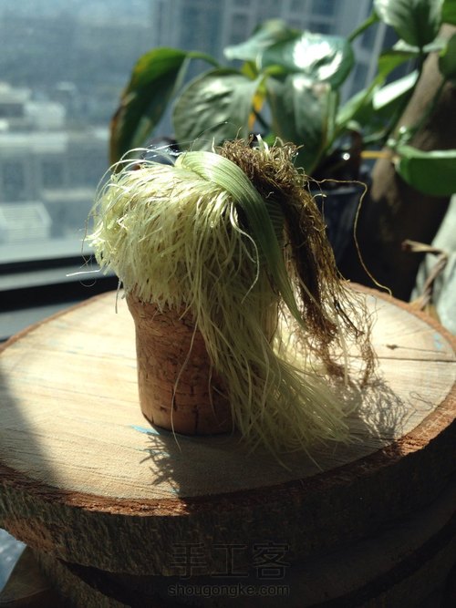 连藕干片，玉米须，小配件 第9步