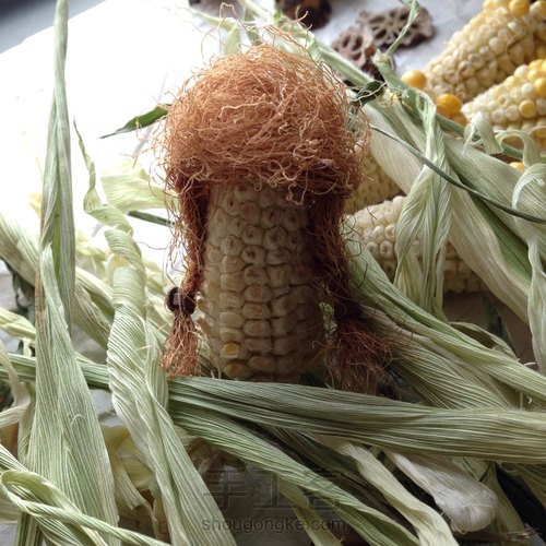 连藕干片，玉米须，小配件 第11步