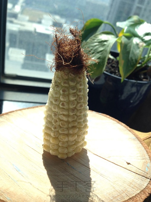 连藕干片，玉米须，小配件 第10步