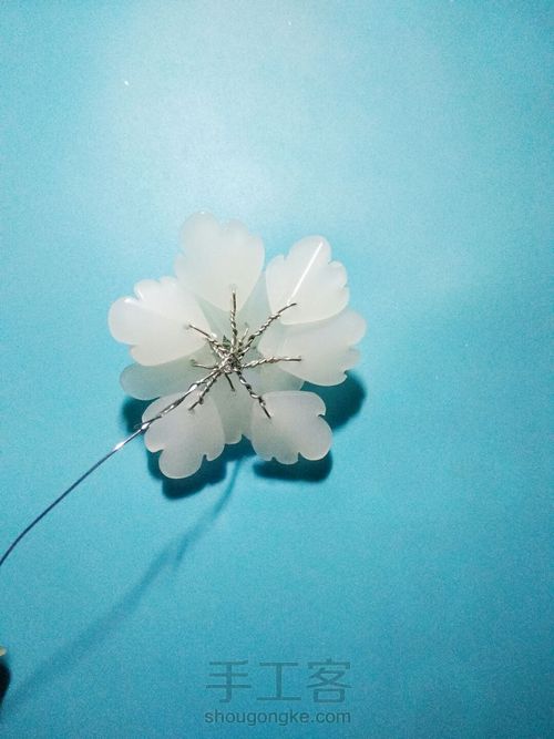 捷克琉璃花瓣【牡丹花】 第19步