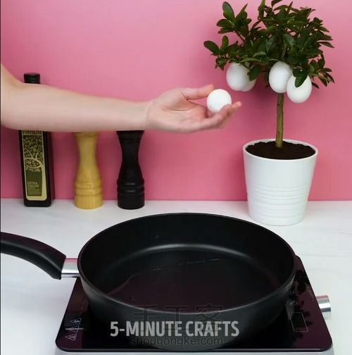 如何种出鸡蛋树 第13步