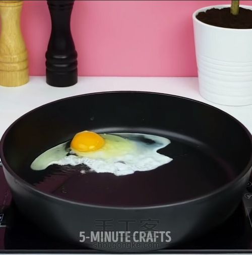 如何种出鸡蛋树 第14步