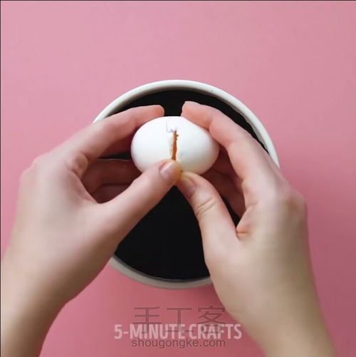 如何种出鸡蛋树 第2步