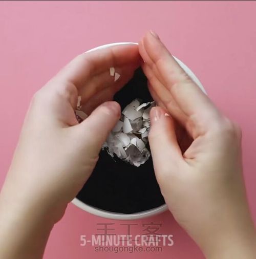 如何种出鸡蛋树 第4步