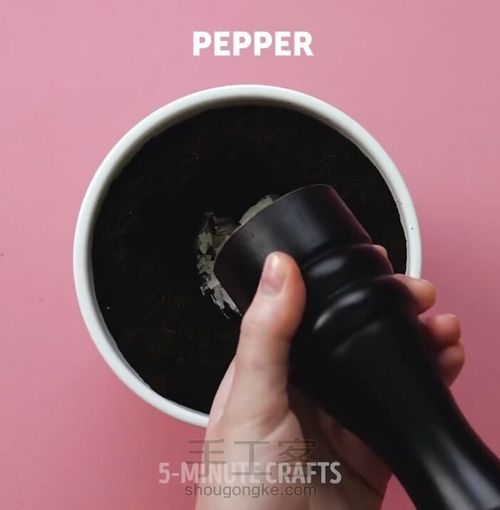 如何种出鸡蛋树 第5步