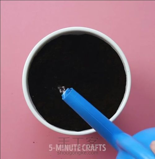 如何种出鸡蛋树 第7步