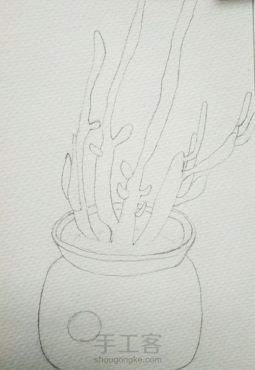 水彩植物 第1步