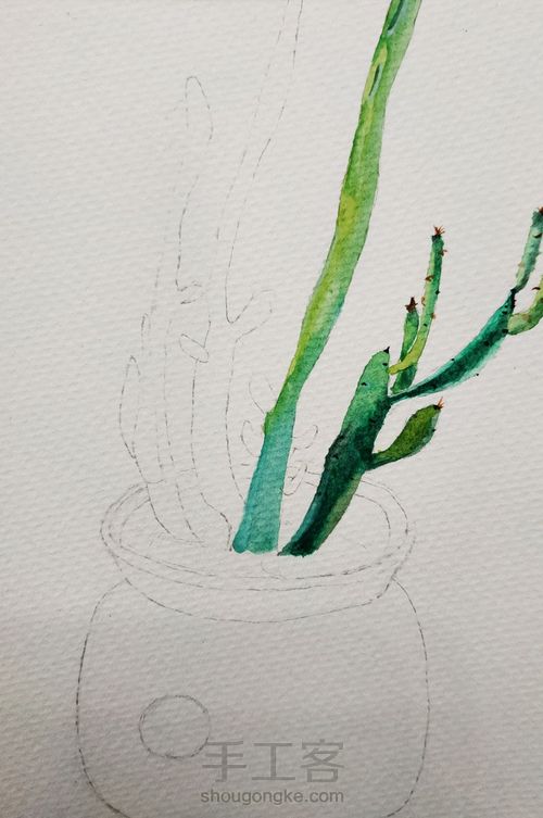 水彩植物 第2步