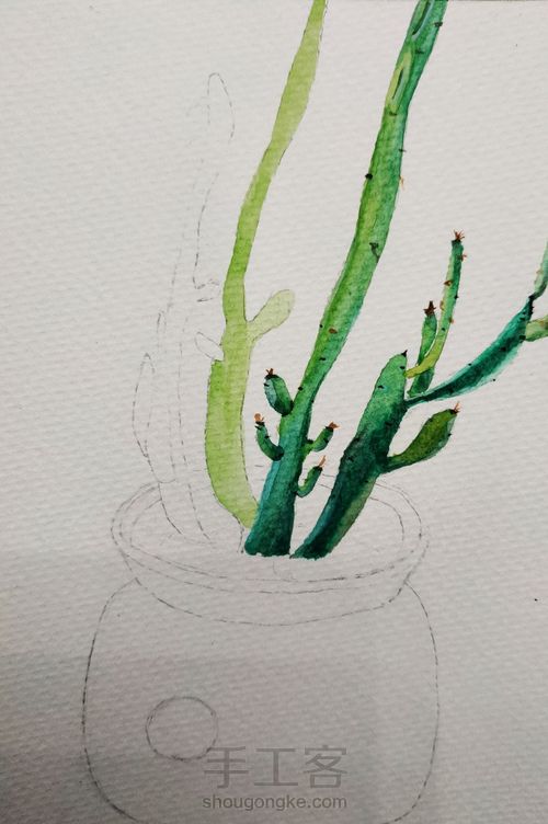 水彩植物 第3步