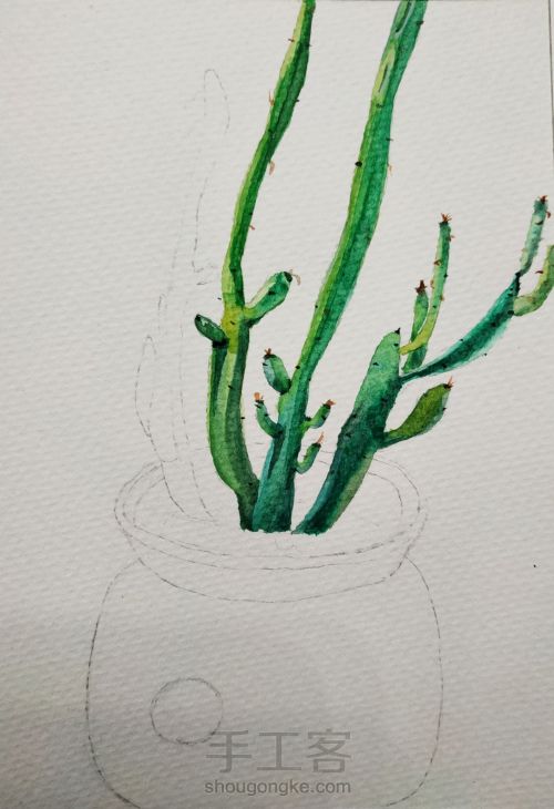 水彩植物 第4步