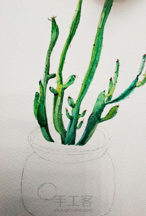 水彩植物 第5步