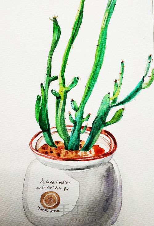 水彩植物 第6步