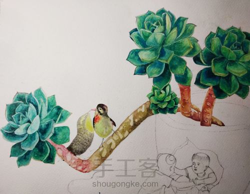 不一样的多肉 第17步