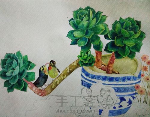 不一样的多肉 第20步