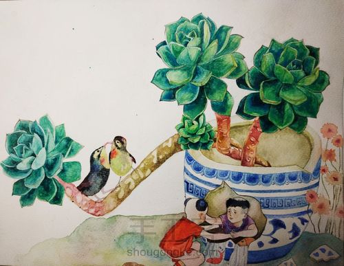 不一样的多肉 第21步