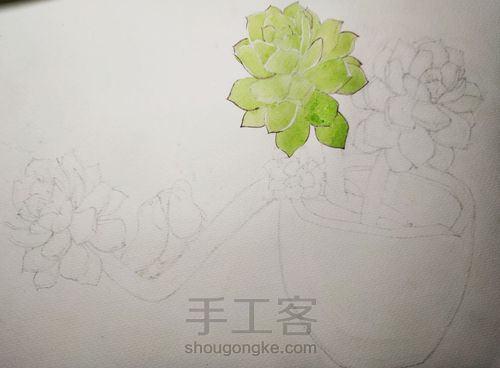 不一样的多肉 第3步