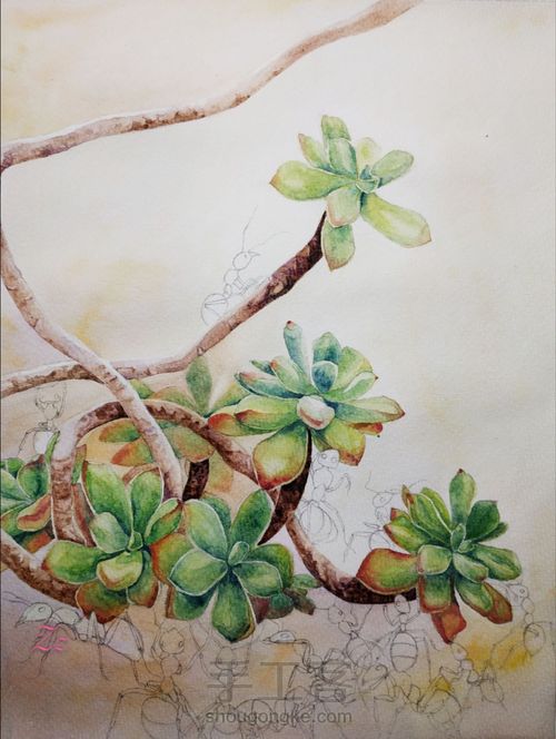 水彩多肉 第7步