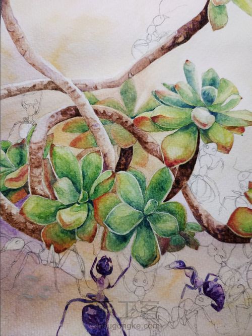 水彩多肉 第9步