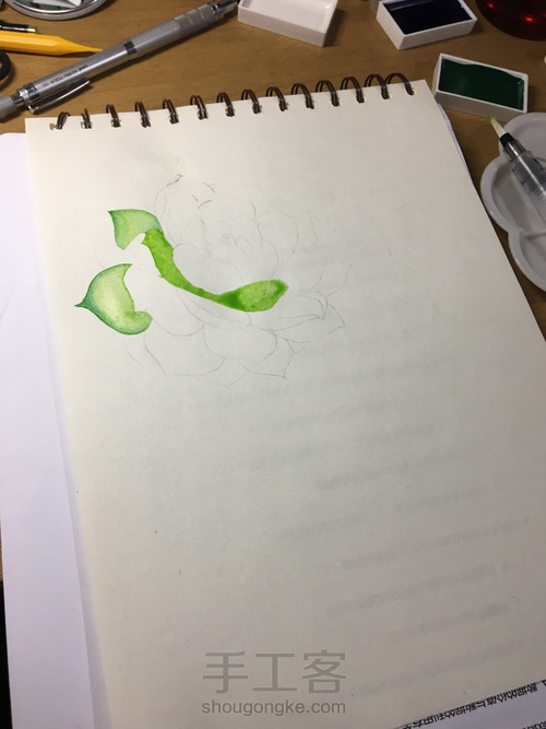 肉乎乎的水彩多肉 第3步