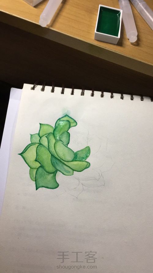 肉乎乎的水彩多肉 第4步