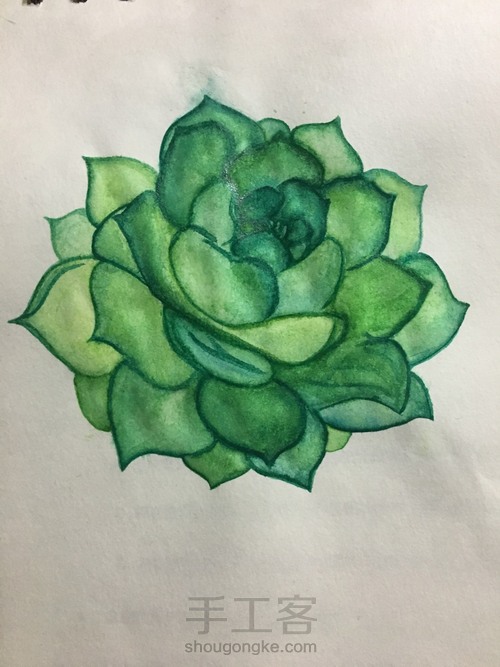 肉乎乎的水彩多肉 第9步