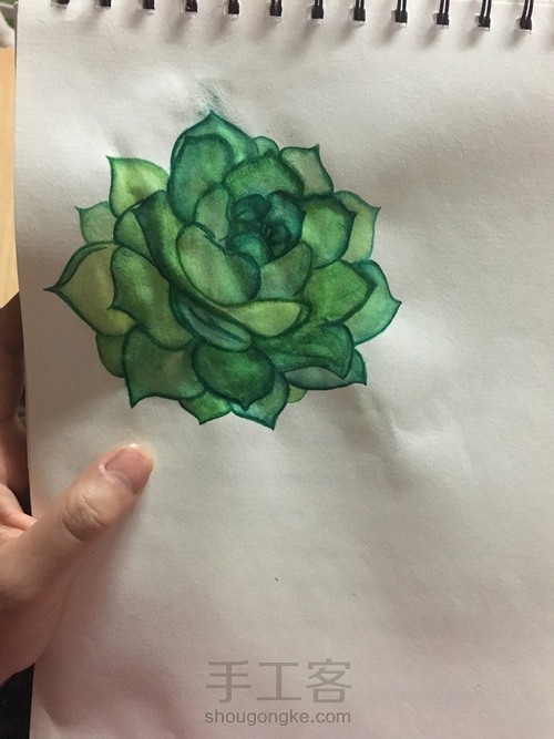 肉乎乎的水彩多肉 第11步