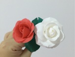 红玫瑰白玫瑰