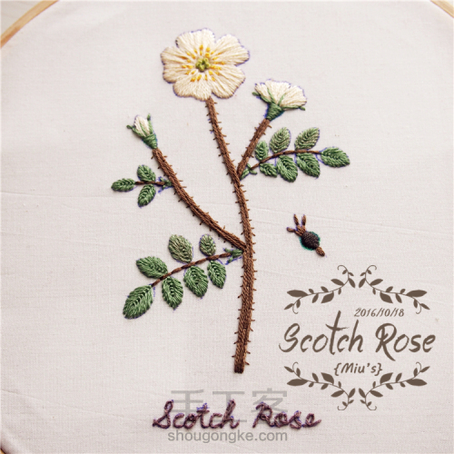 苏格兰玫瑰刺绣 第20步