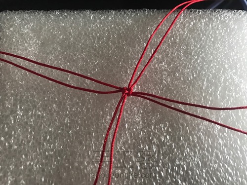 蘑菇有毒🍄 第1步