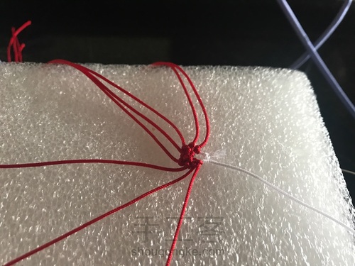 蘑菇有毒🍄 第2步