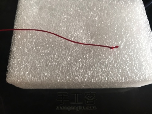 蘑菇有毒🍄 第4步