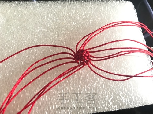 蘑菇有毒🍄 第5步