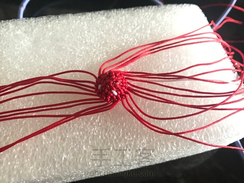 蘑菇有毒🍄 第7步