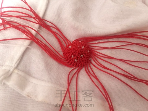 蘑菇有毒🍄 第8步