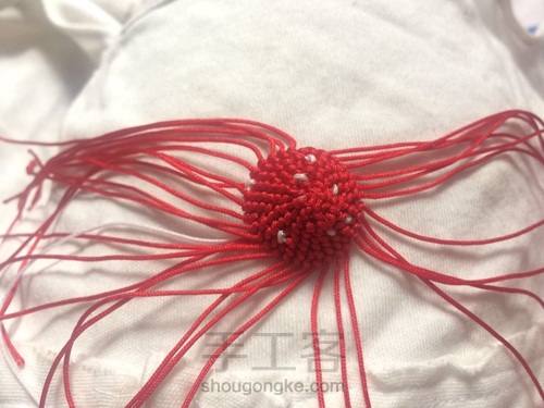 蘑菇有毒🍄 第9步