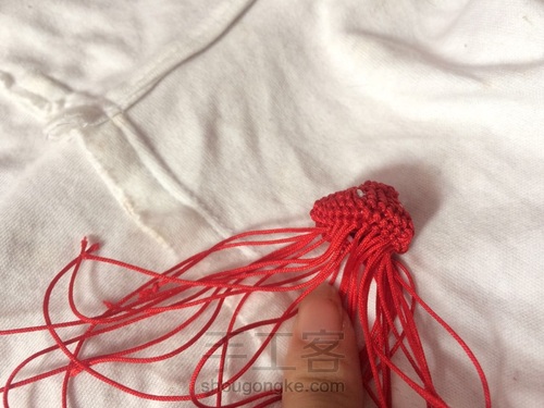 蘑菇有毒🍄 第10步