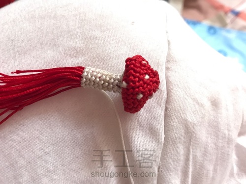 蘑菇有毒🍄 第15步