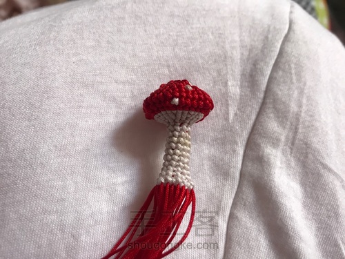 蘑菇有毒🍄 第17步