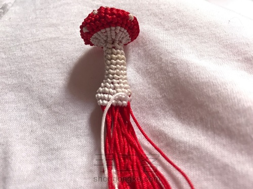 蘑菇有毒🍄 第18步