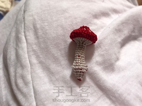 蘑菇有毒🍄 第19步