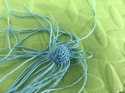 可爱的小鲸鱼🐳 第2步