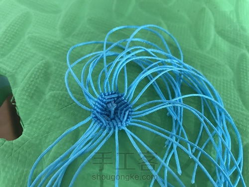 可爱的小鲸鱼🐳 第3步