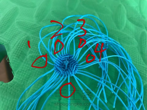 可爱的小鲸鱼🐳 第4步