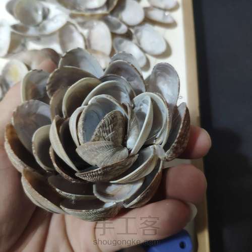 花花甲花甲花 第3步