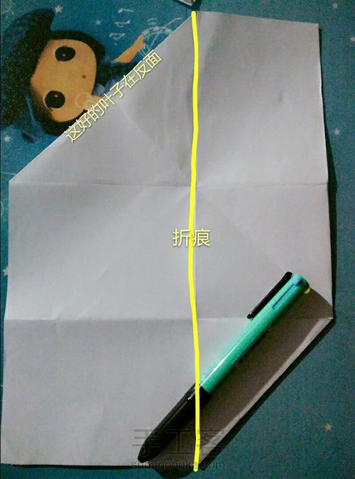 新款叶子信封(非原创) 第11步